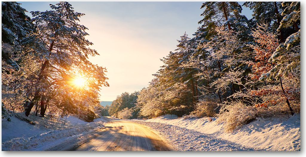 Tulup Küchenrückwand Spritzschutz aus Glas -100x50 -Spritzschutz auf gehärtetes GlasDeko Landschaften Straße Winterwald