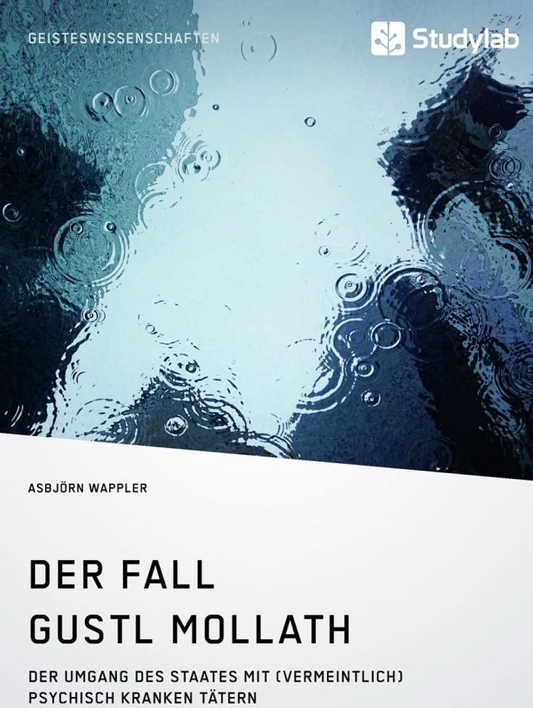 Der Fall Gustl Mollath. Der Umgang des Staates mit (vermeintlich) psychisch kranken Tätern