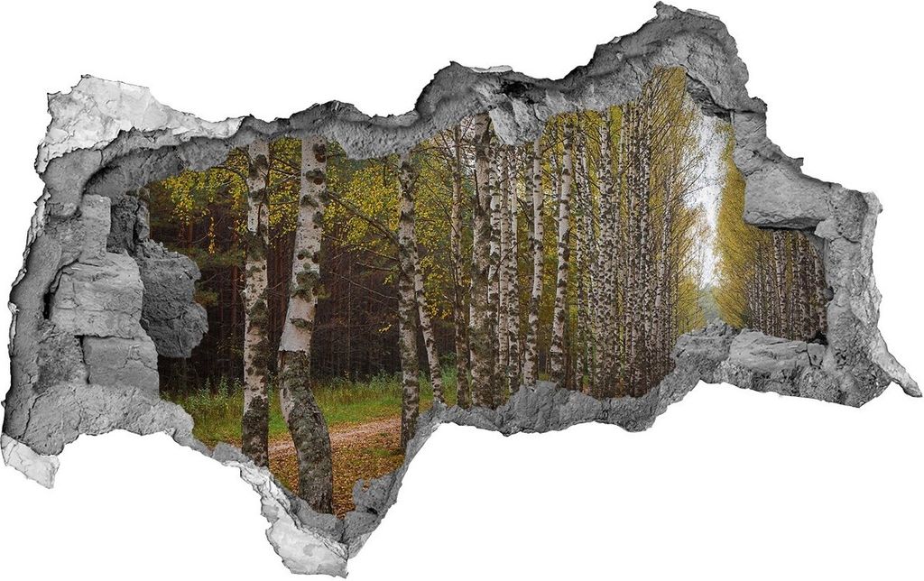 Selbstklebender Loch-3D-Aufkleber 95x73 cm Birke Gasse