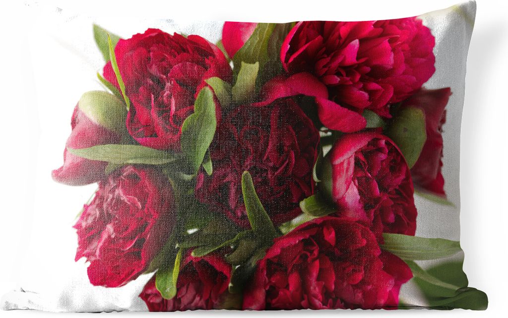MuchoWow Outdoor Kissen - Ein Strauß roter Pfingstrosen mit weißem Hintergrund - 60x40 cm - Wetterfest - Lounge Kissen - Zierkissen - Kissen f...