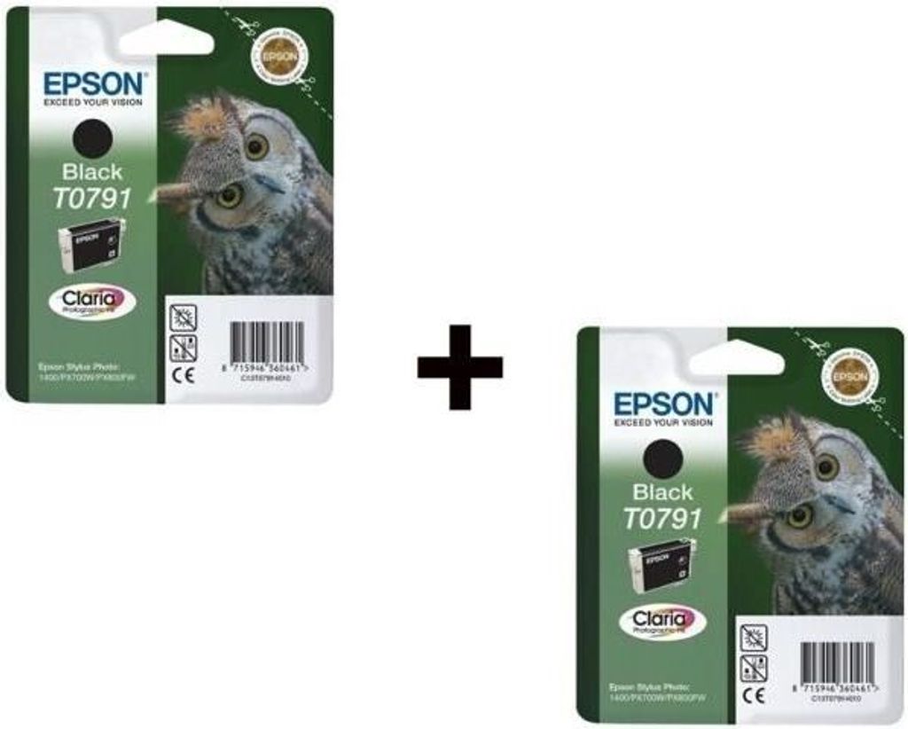 Epson T0791 Owl Ink Cartridge Schwarz x2