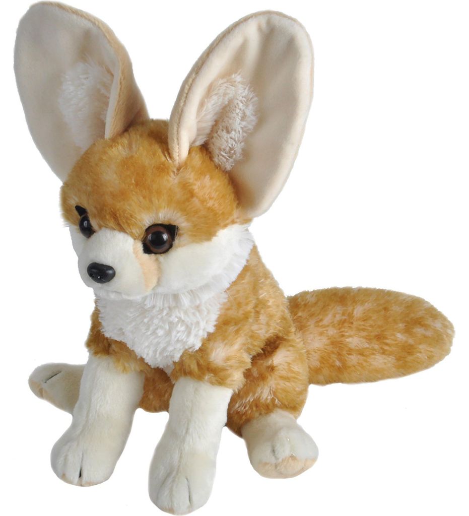 Peluche mâle CK 30 cm Image du produit 