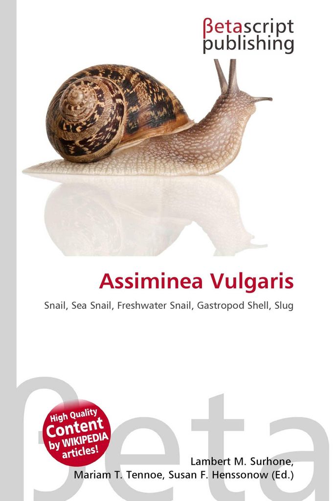 Assiminea Vulgaris