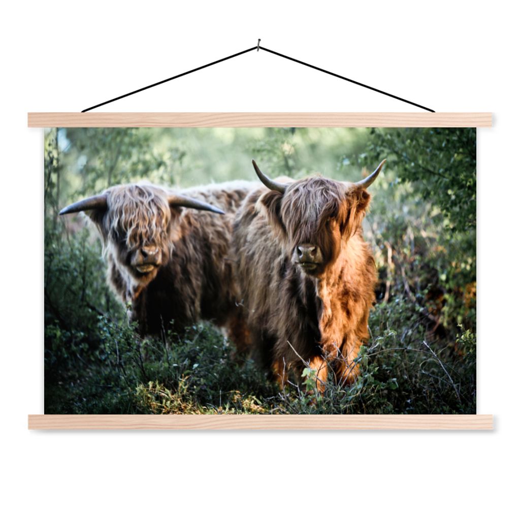 MuchoWow Textilposter Schottische Highlander - Wald - Tiere 120x80 cm mit holzfarbenen Rahmen - Aufhängeset