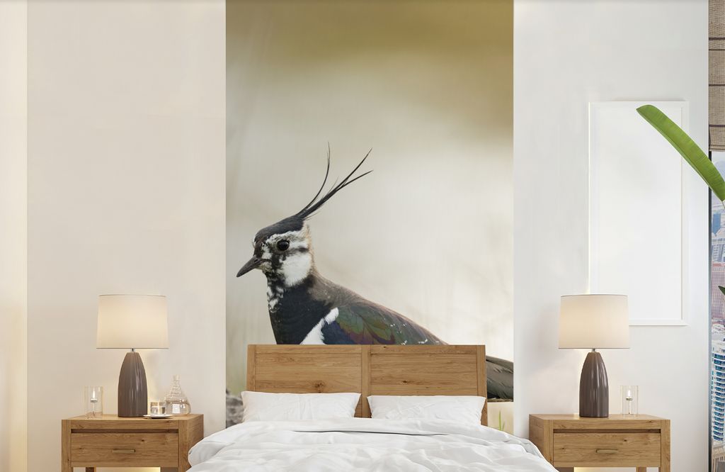MuchoWow Fototapete für Wohnzimmer oder Schlafzimmer Wandtapete Vinyl Motivtapete Vogel - Gras - Tiere - Natur - Kiebitz - 120x240 cm - Hintergr...
