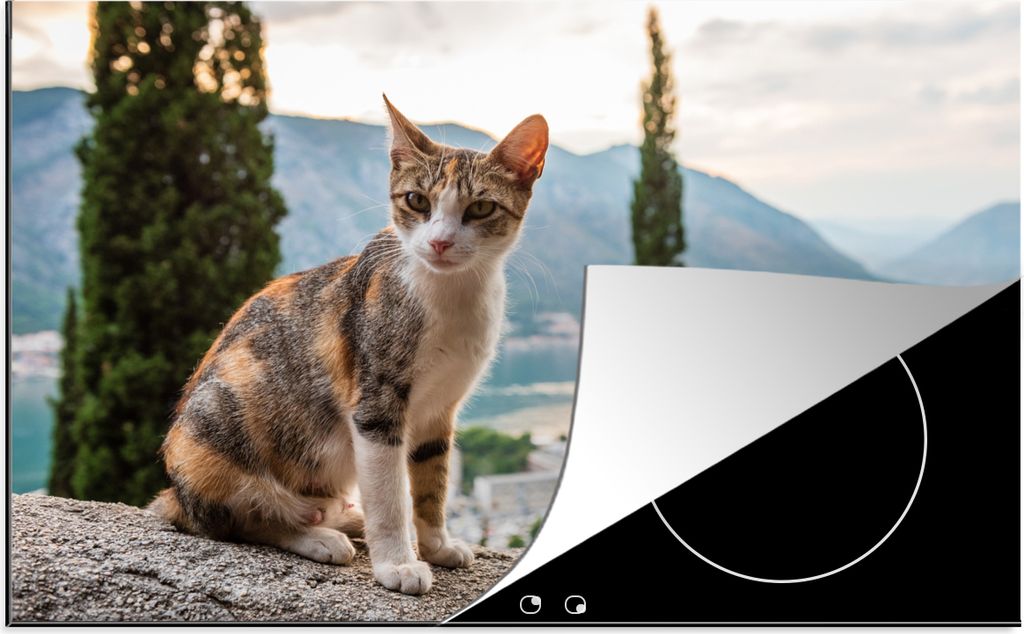 KitchenYeah Herdabdeckplatte Katze an der Wand mit Blick auf die Bucht von Kotor in Monte , 77x51cm, Küche Deko, Glaskeramikkochfeld Herdabdecku...