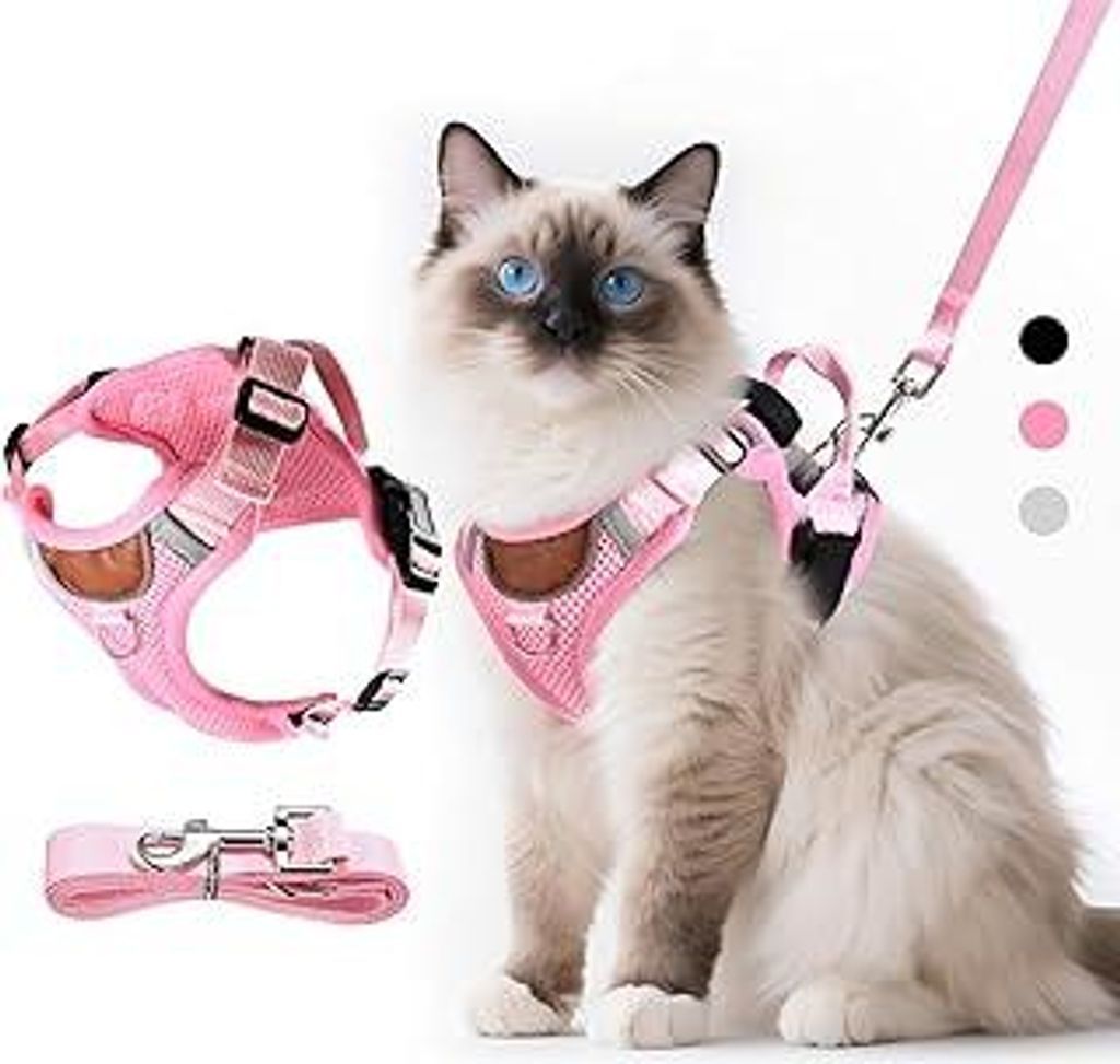 Verstellbares Katzengeschirr mit Leine Ausbruchsicher, Katze Brustgeschirr mit Reflektierend Streifen & Atmungsaktiv Netzgewebe, Softgeschirr für ...