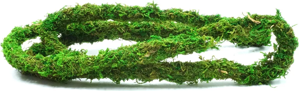 BioBranch Green Moss Liane Artificielle avec Mousse 200 x 2 cm Terrarium