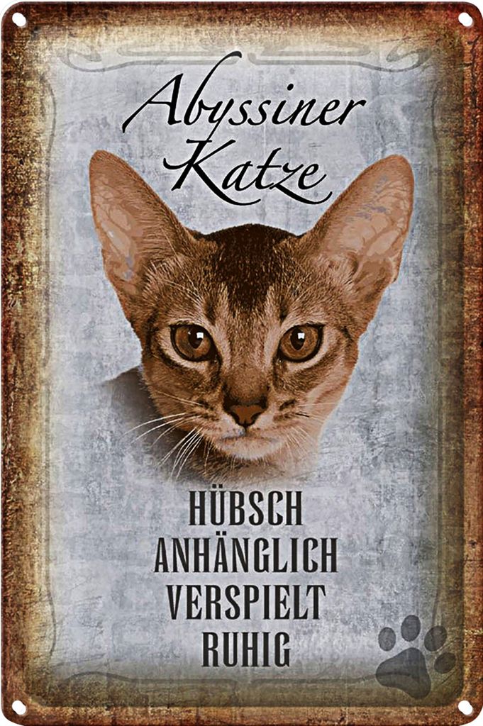 Blechschild Spruch 40x30cm Abyssiner Katze hübsch verspielt