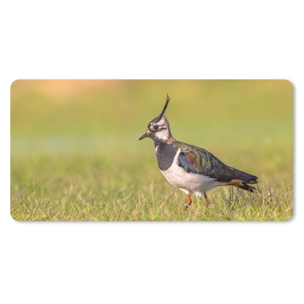 MuchoWow Schreibtischunterlage Vogel - Gras - Natur - Tiere - Kiebitz 80x40 cm - XXL Mauspad - Gaming Mauspad