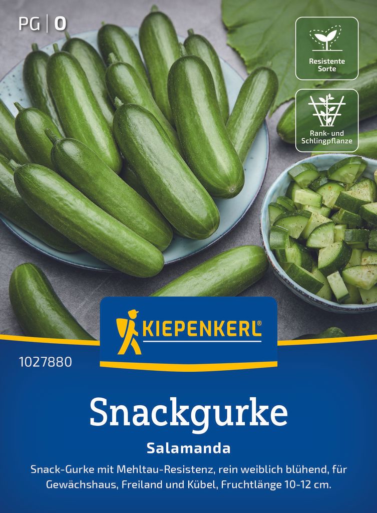 Kiepenkerl Snackgurkensamen Salamanda F1 Cucumis sativus 8 Produktbild 