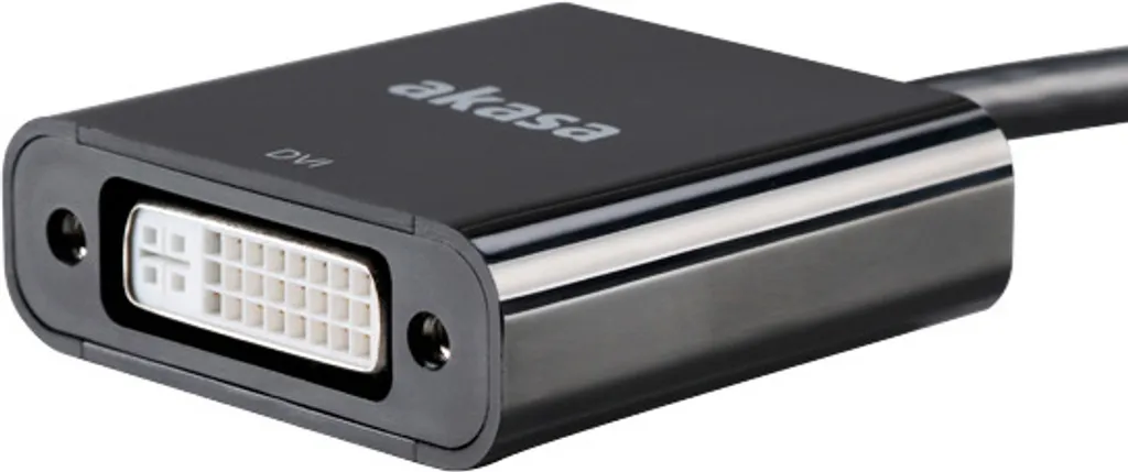Câble DisplayPort vers DVI AKASA 20cm Haute Résolution pour Vidéoprojecteur