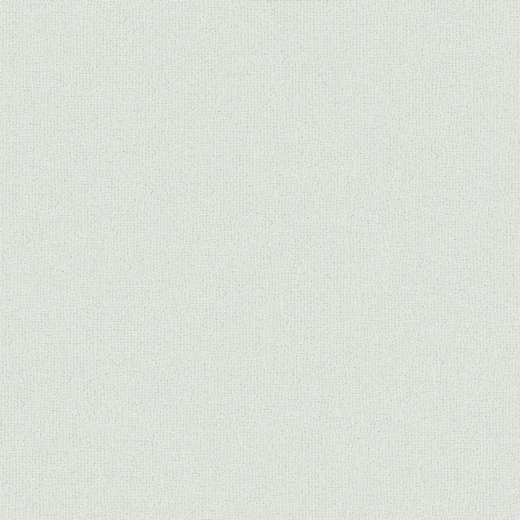 A.S. Creation | Attractive 2 | 390398 | Vliestapete | Einfarbig | 10.05 x 0.53 m | Grün | Wohnzimmer | Flur | Büro | Küche | Wohnräume