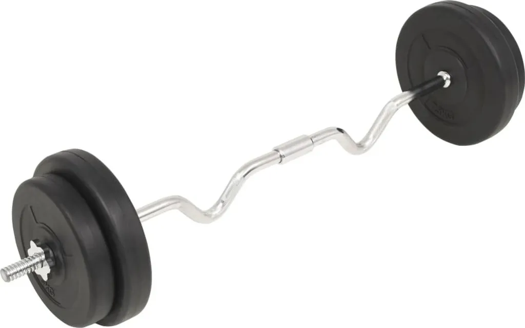 vidaXL Ensemble d'haltères longs 30 kg avec barres et disques de fonte