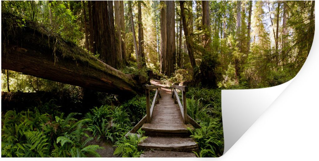 MuchoWow Wandtattoo Wandsticker Wandaufkleber Dschungel - Natur - Treppe - Bäume 120x60 cm Selbstklebend und Repositionierbar - Sticker - Dekorf...