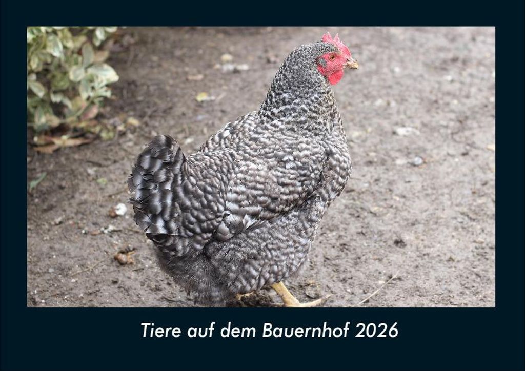 Tiere auf dem Bauernhof 2026 Fotokalender - Querformat DIN A4, Monatskalender mit Bild-Motiven von Haustieren, Bauernhof, wilden Tieren und Raubtieren