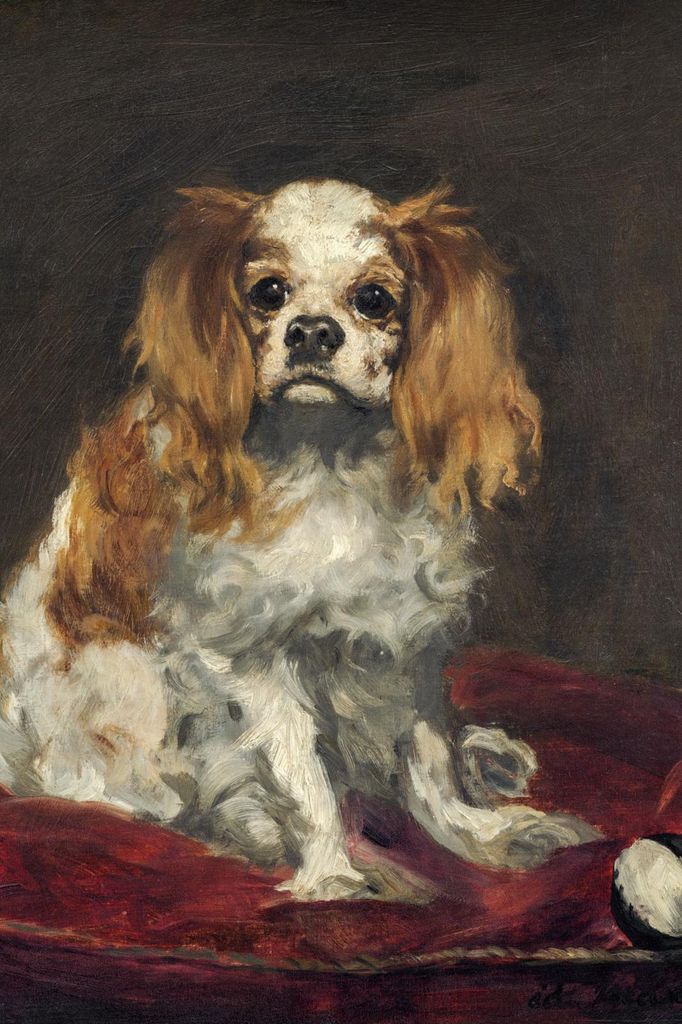 Plakat 20x30cm Ein King Charles Spaniel, Edouard Manet für das Wohnzimmer
