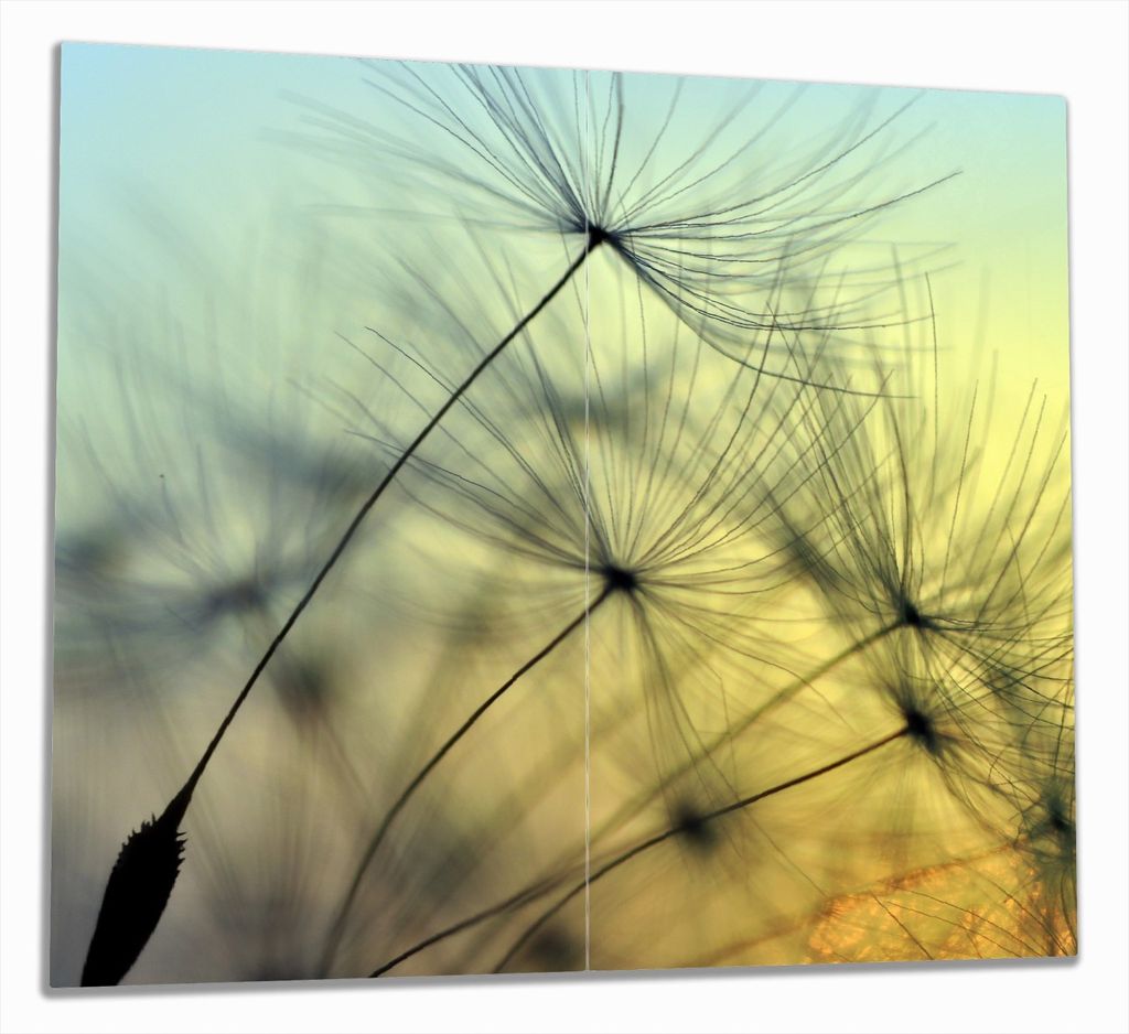 Wallario Herdabdeckplatte aus Glas, Größe 60 x 52 cm 2-teilig, Motiv Samen der Pusteblume in Nahaufnahme vor blauem Himmel