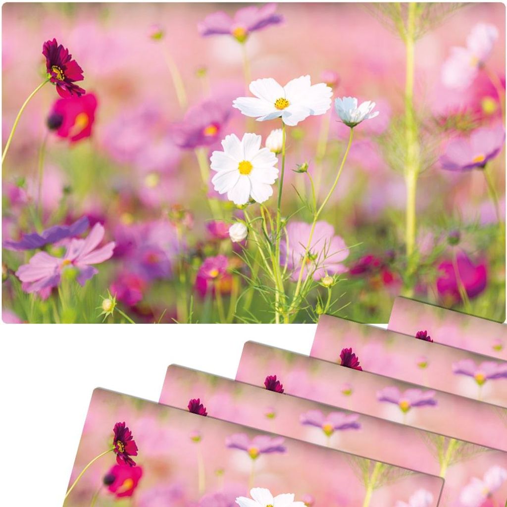 Set di 6 tovagliette lavabili rosa prato fiore bianco Immagine del prodotto 