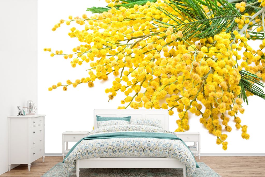 MuchoWow Fototapete für Wohnzimmer oder Schlafzimmer Wandtapete Vinyl Motivtapete Viele Mimosenpflanzen auf weißem Hintergrund - 600x400 cm - V...
