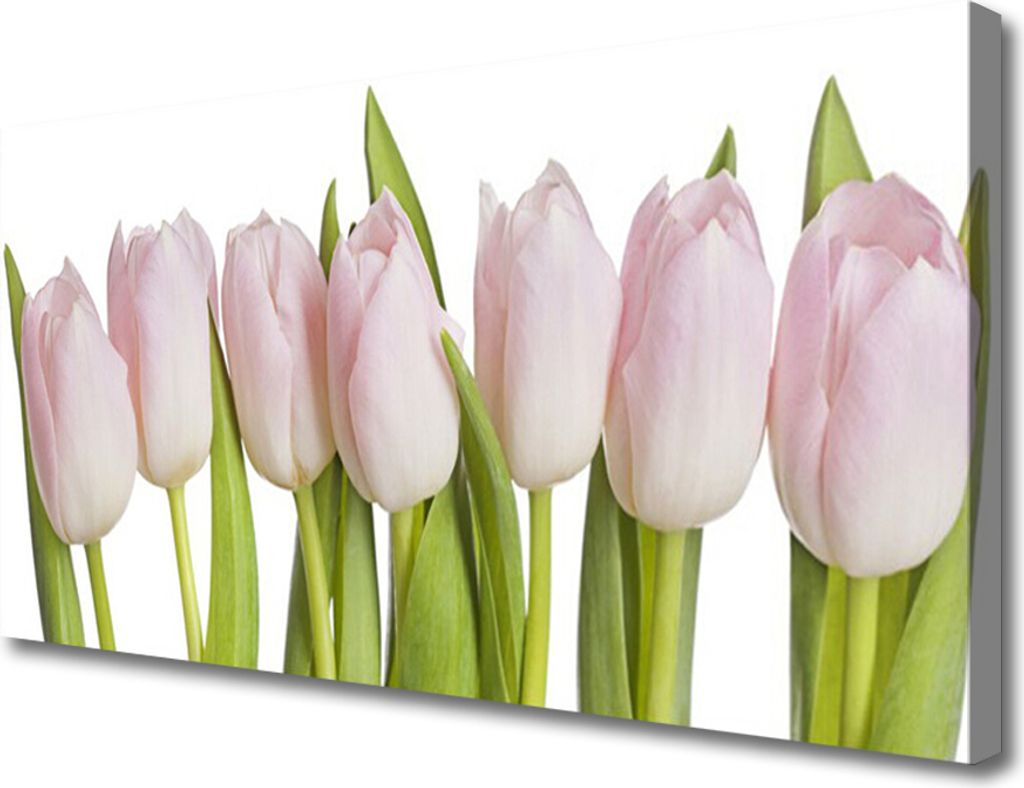 Tulup Leinwand-Bilder 100x50 Wandbild Canvas Kunstdruck Tulpen Pflanzen