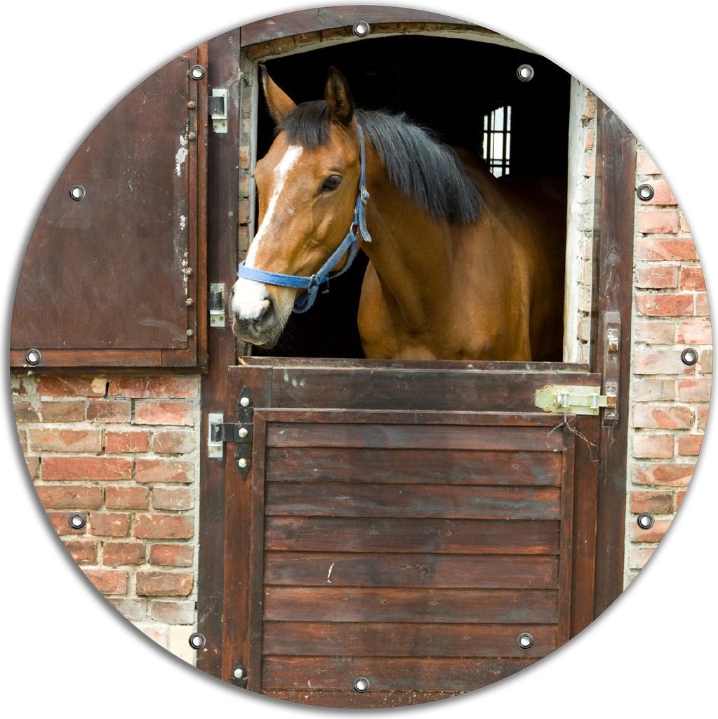 Wallario rundes Outdoor-Poster für Garten oder Balkon, Motiv Pferd im Stall, 90 cm Durchmesser