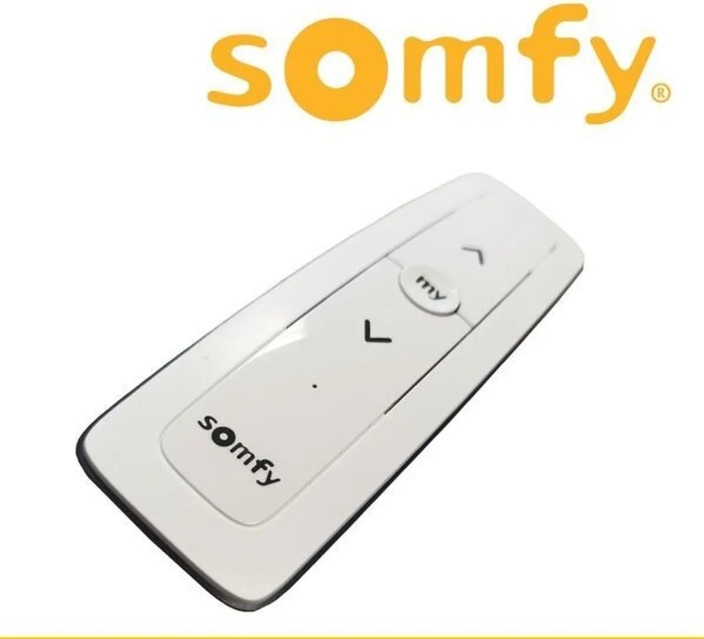Somfy Situo 1 RTS Pure II: Design Elegante per Tende Motorizzate