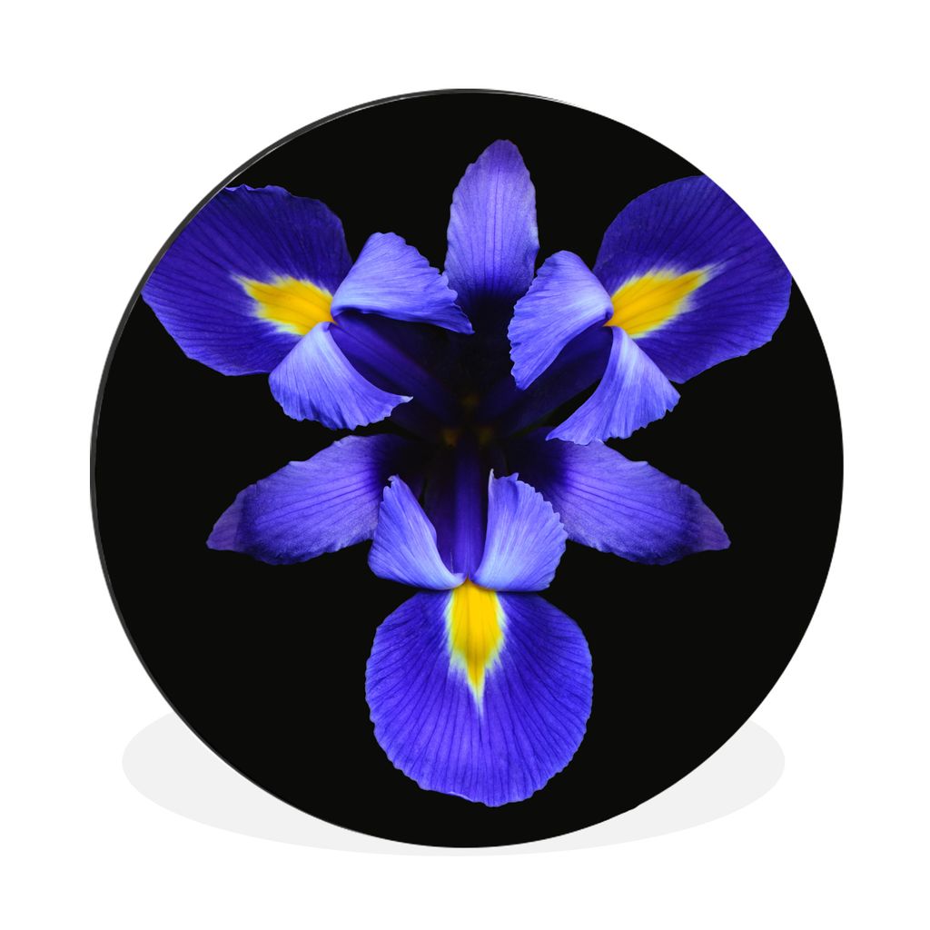 MuchoWow Aluminium Wandkreis Blaue Iris Nahaufnahme Ø 60 cm Wanddeko Modern Wohnzimmer - Wand Kreis - Wandbild - Schlafzimmer - Aluminium Bild -...