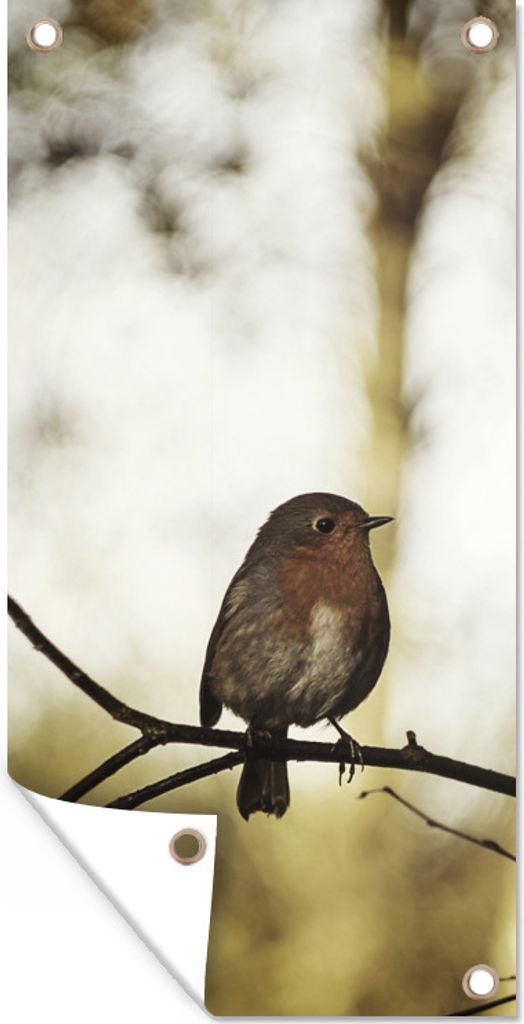 MuchoWow 40x80 cm Outdoor-Poster Gartendeko Sichtschutz Garten Poster für den Garten Natur - Rotkehlchen - Zweig