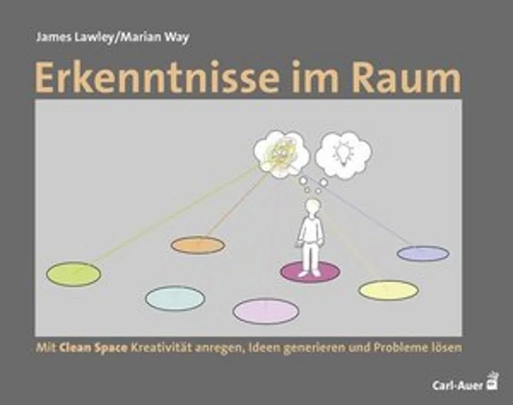 Diffuseur de Parfum Erkenntnisse im Raum pour une Ambiance Zen 200ml
