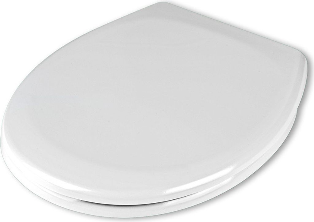 A white toilet seat is shown from a slightly elevated angle against a white background.