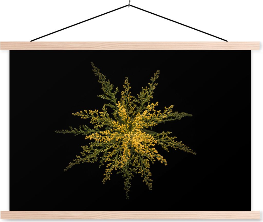 MuchoWow Textilposter Eine Goldrutenblüte auf schwarzem Hintergrund 120x80 cm mit holzfarbenen Rahmen - Aufhängeset