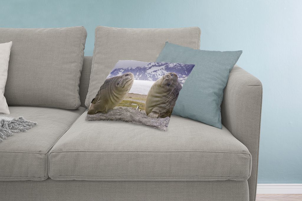 MuchoWow Zierkissen Sofakissen Wohnzimmer Dekokissen 60x40 cm Robben - Lustig - Kinder - Jungen - Mädchen - Kinder - Kopfkissen - Polster mit Foto