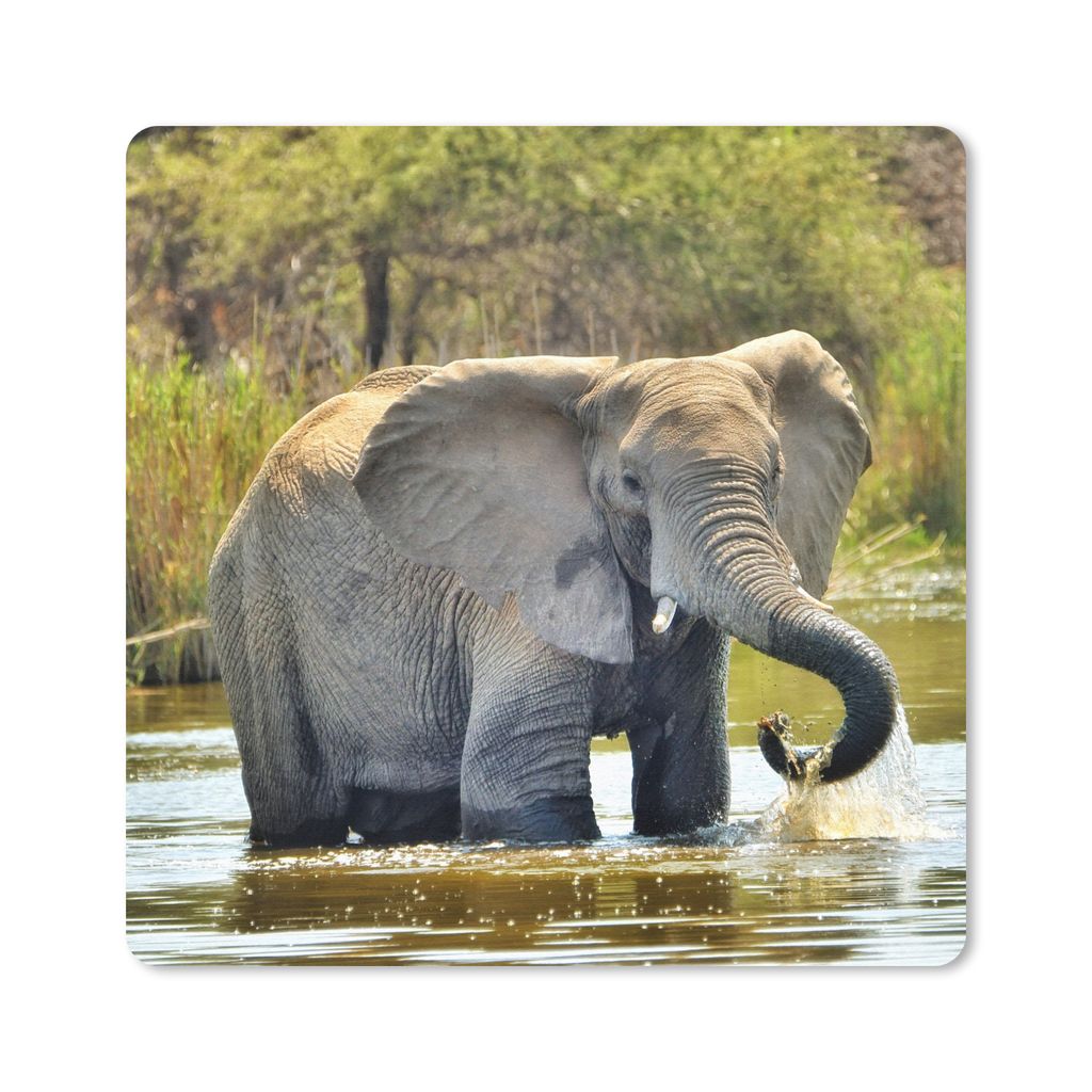 MuchoWow Mauspad Mousepad Elefant - Wasser - Tiere - Natur 20x20 cm - Mousepads - Maus Mat - Pad - Mausunterlage - Desk Mat - Bureauartikeln