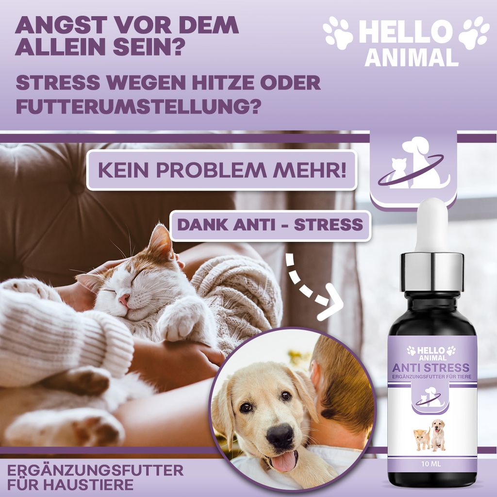 Alimenti Per Cani Mammaly Relax Time Beruhigungsmittel Für Hunde, Anti Stress Snack Für Barriera Per Cani - Foto 11