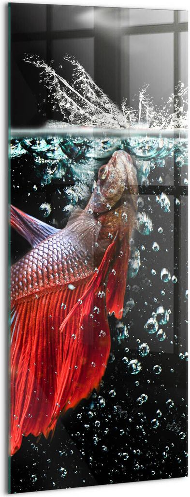 Designer Glasbild - Wandbild - Glas Bild - 50x125 cm - Fische Im Aquarium