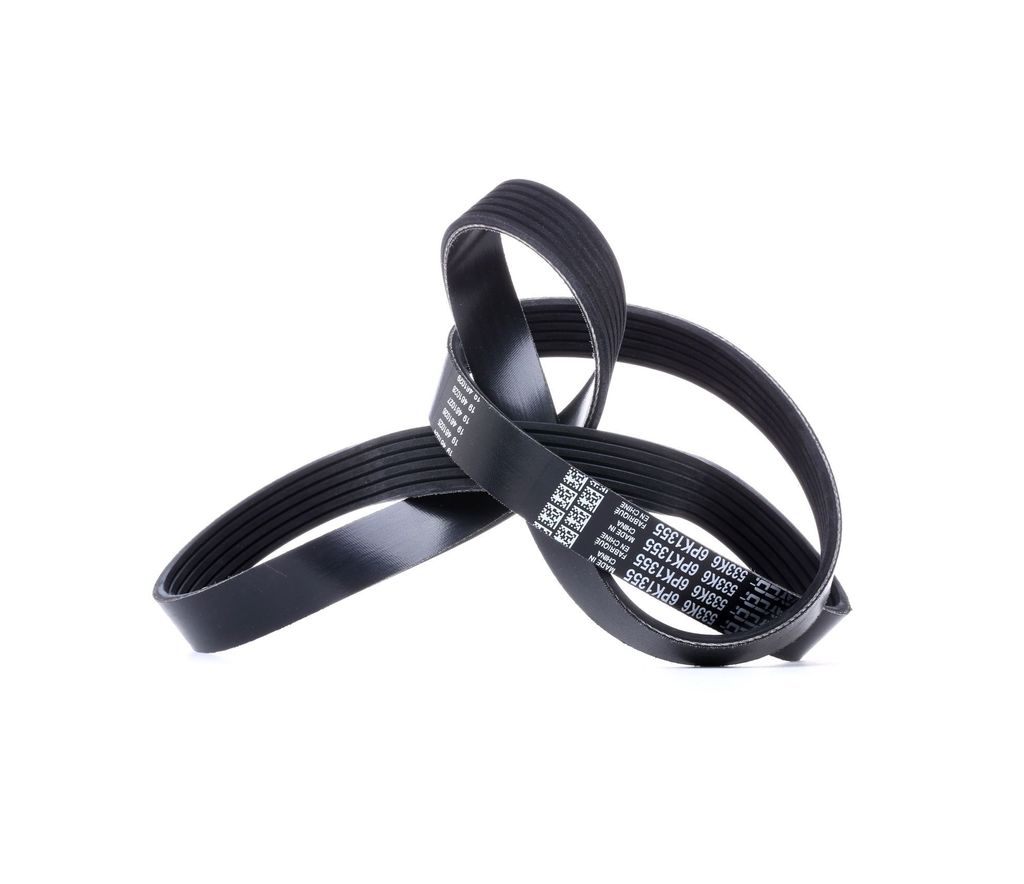 DAYCO Keilrippenriemen 6PK1355 6PK1355DAY