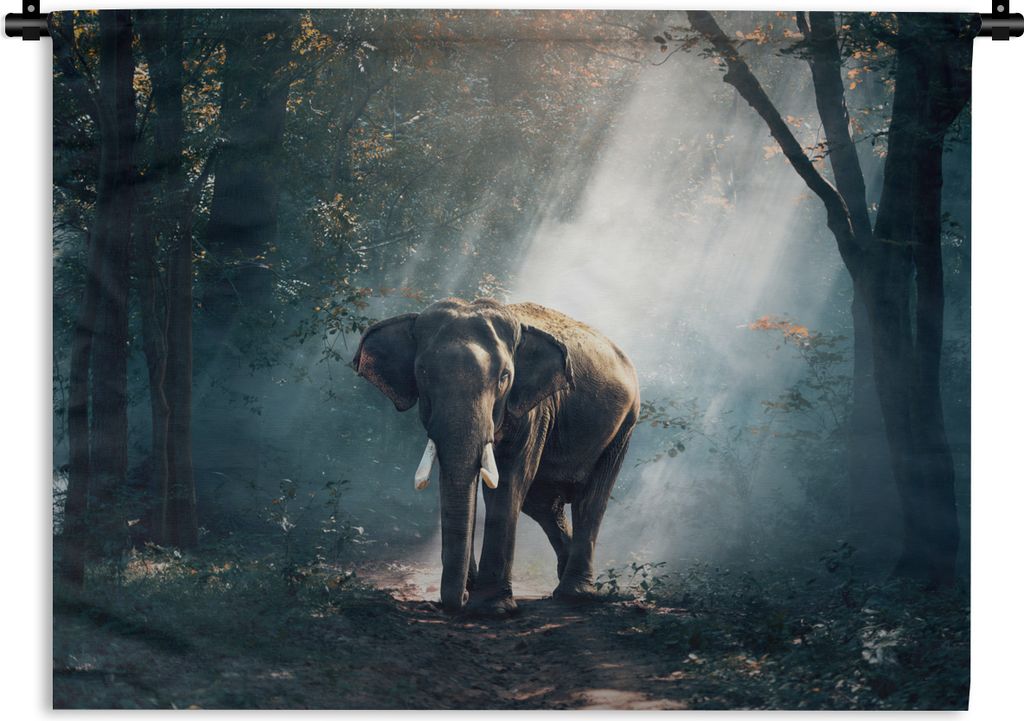 MuchoWow Wandteppich Wandbehang Elefant - Tiere - Licht - Wald - Natur - Wildtiere 120x90 cm Tapisserie Dekoration Wandtuch - Wohnen - Aufhänger...