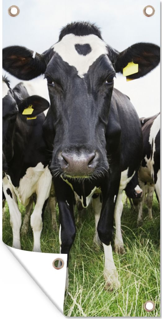 MuchoWow 40x80 cm Outdoor-Poster Gartendeko Sichtschutz Garten Poster für den Garten Kühe - Gras - Frühling - Tiere - Wiese - Bauernhof