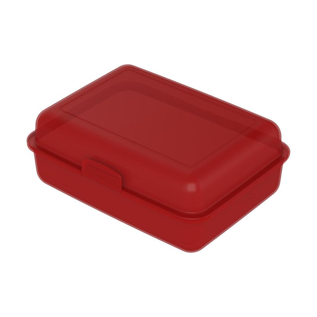 Vorratsdose School-Box groß - BPA-freie Brotdose Kinder mit Trennschale & Klickverschluss - robuste Lunchbox Germany - Motiv Regenbogen
