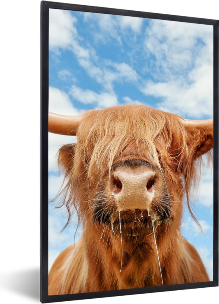 MuchoWow Gerahmtes Poster Schottischer Highlander - Wolke - Tiere 60x90 cm - Poster mit Schwarzem Bilderrahmen Wandposter Rahmen Foto Bilder - Kunst