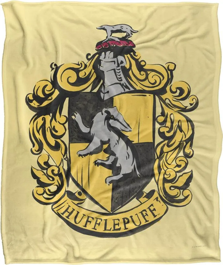 Plaid Serdaigle Harry Potter Coloré contre le Froid en Taille Unique TV18474