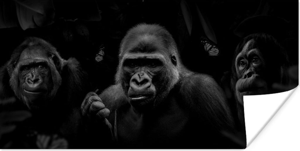MuchoWow Poster Panorama mit Gorillas im Dschungel - schwarz und weiß 80x40 cm - Wanddeko
