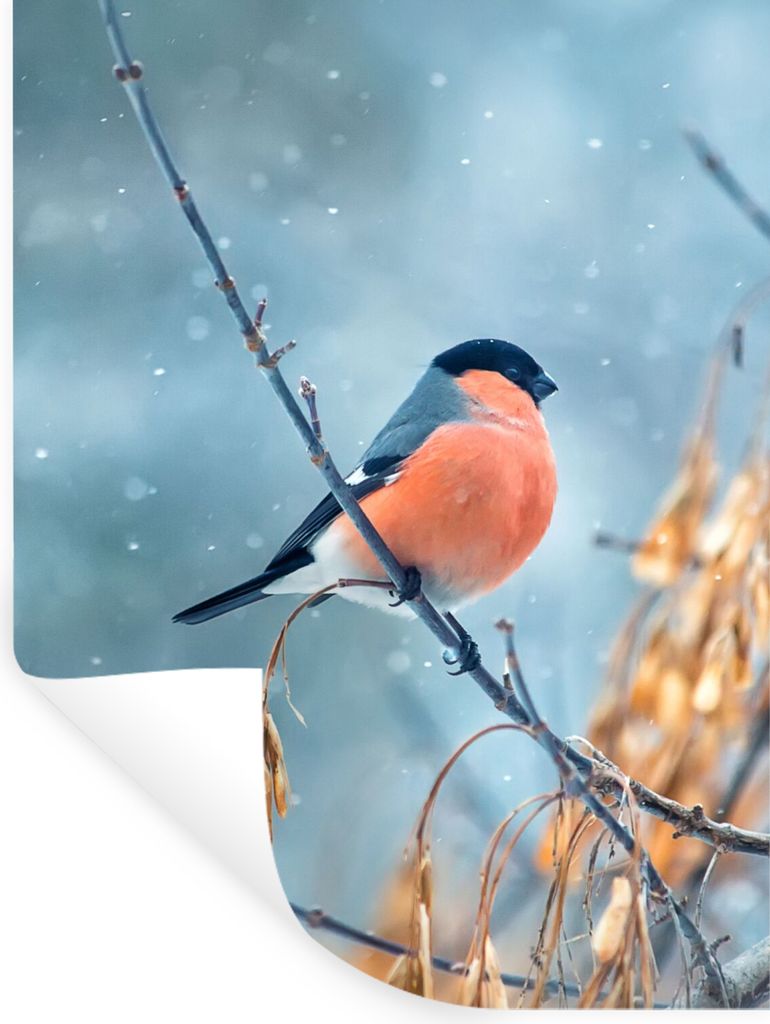 MuchoWow Wandtattoo Wandsticker Wandaufkleber Rotkehlchen - Vogel - Schnee - Herbstliche Blätter 30x40 cm Selbstklebend und Repositionierbar - S...