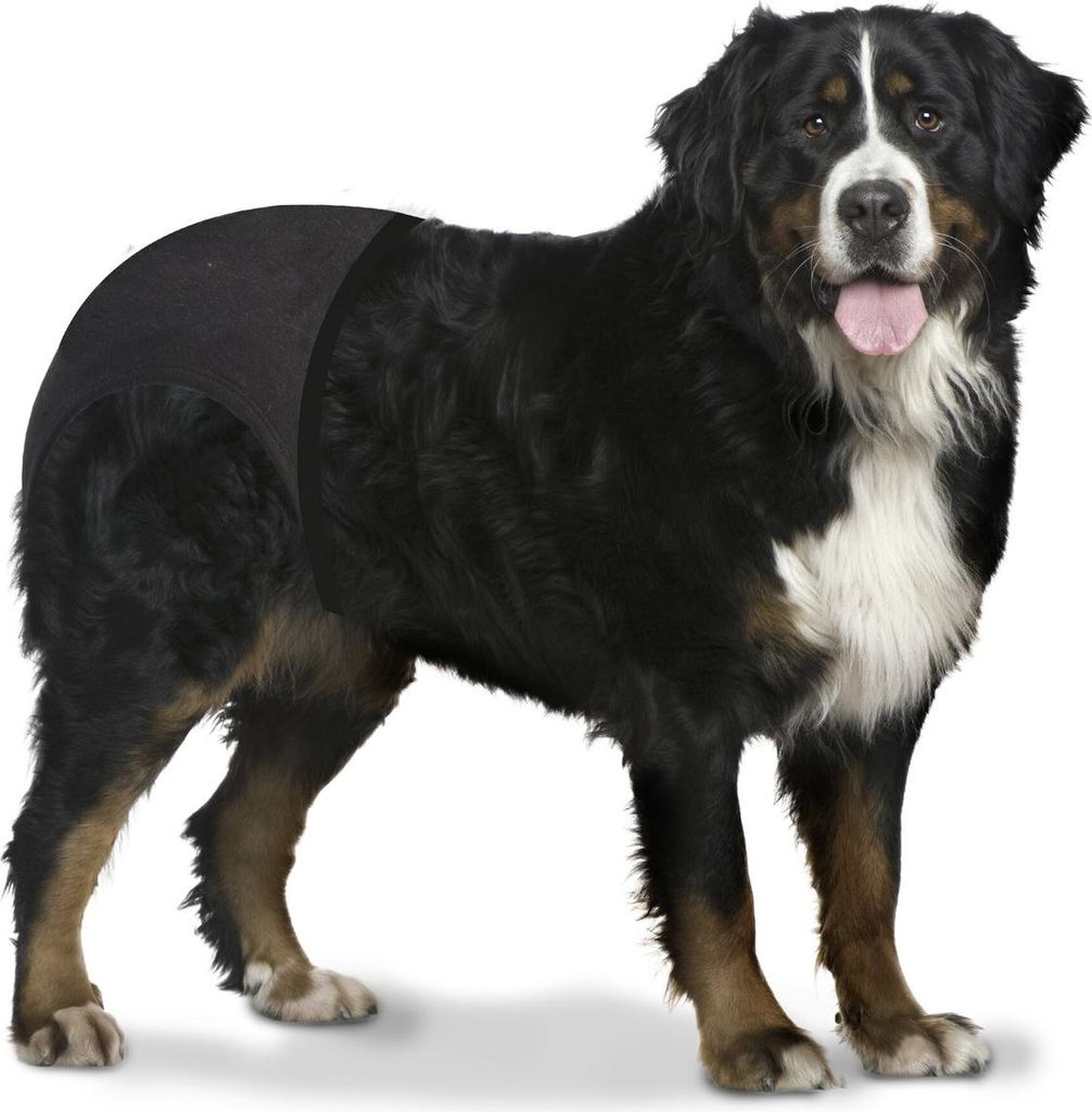 Duvo+ Schutzhose, Maße: 60 - 70 cm