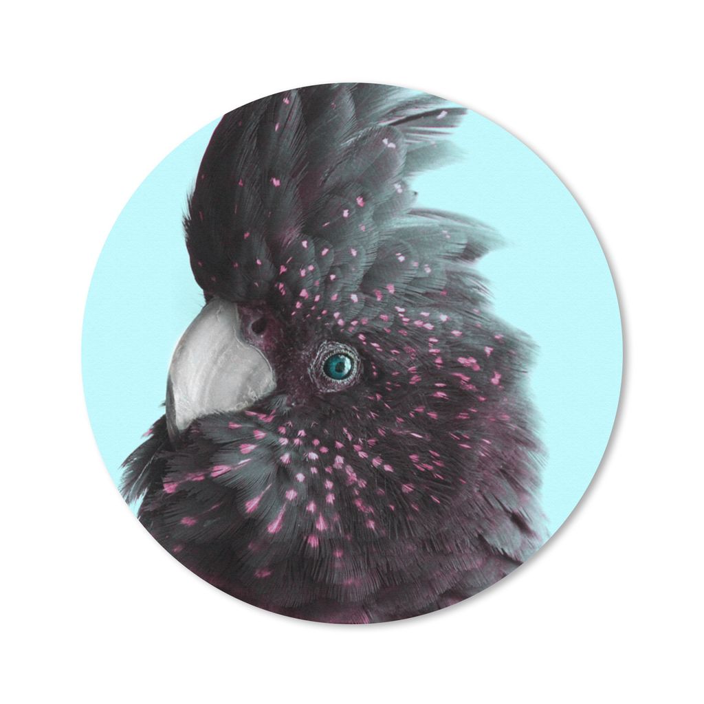 MuchoWow Mauspad Mousepad Kakadu - Blau - Schwarz 50x50 cm - Mousepads - Maus Mat - Pad - Mausunterlage - Vinyl