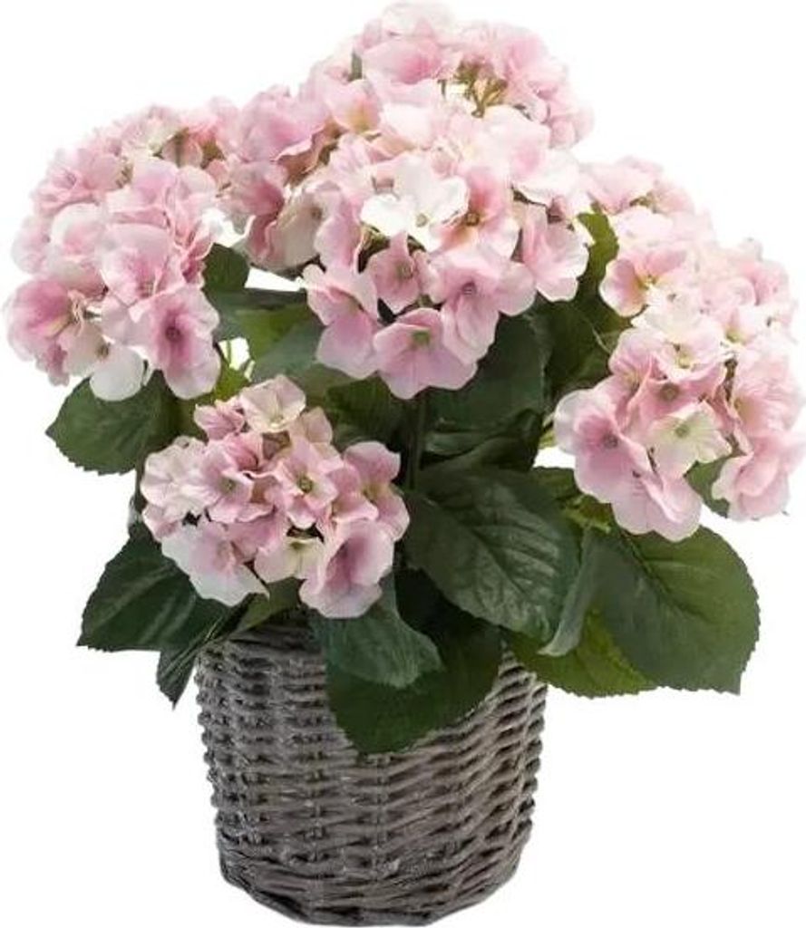 Emerald Künstliche Hortensie - Lennard | 45 cm, inkl. Dekotopf, für drinnen, Kunstblume, wie echt, Allergiker geeignet, pflanzliche Dekoration Pr...