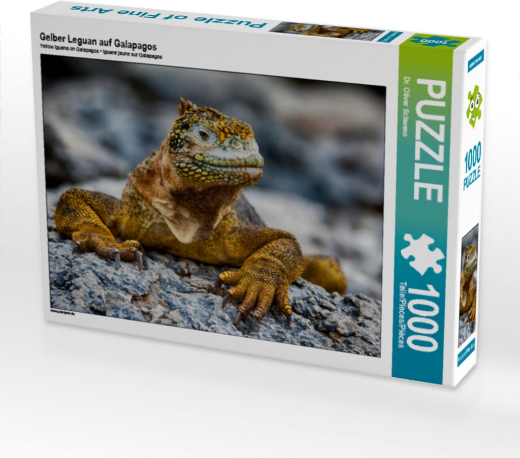 CALVENDO Puzzle Gelber Leguan auf Galapagos | 1000 Teile Lege-Größe 64x48cm Foto-Puzzle für glückliche Stunden