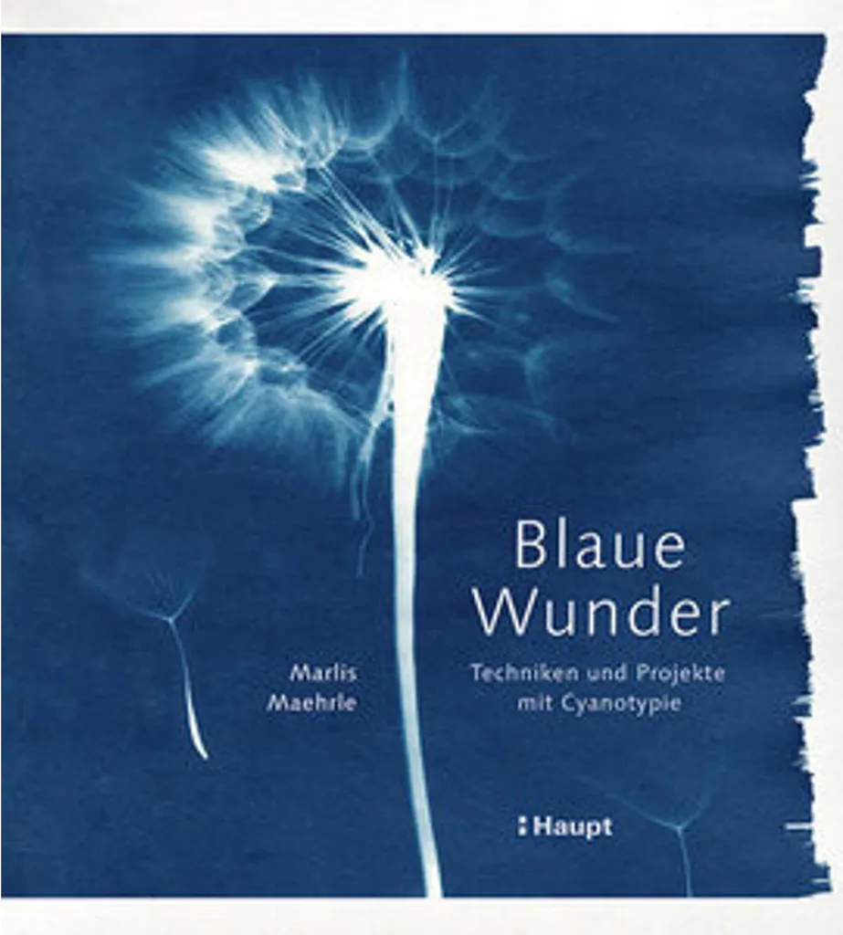 Livre Blaue Wunder : Techniques et Projets Cyanotype pour Débutants