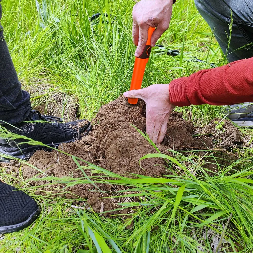 Pinpointer de détection métaux Cobra Tector CT-1076 avec alerte par vibration